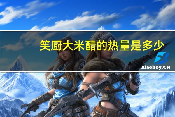 笑厨 大米醋的热量是多少
