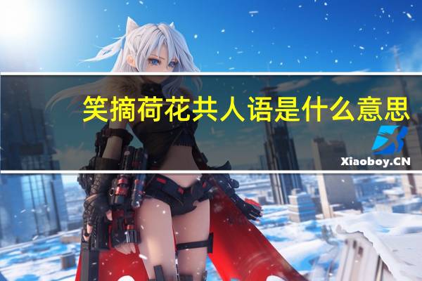 笑摘荷花共人语是什么意思
