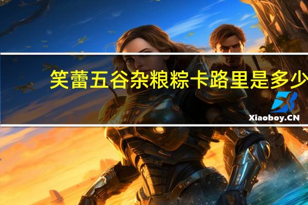 笑蕾 五谷杂粮粽卡路里是多少