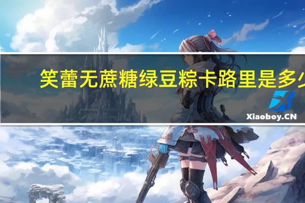 笑蕾 无蔗糖绿豆粽卡路里是多少