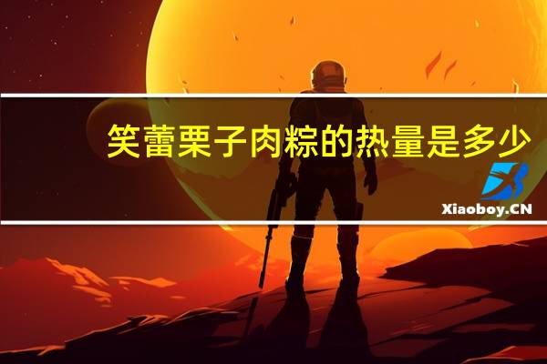 笑蕾 栗子肉粽的热量是多少