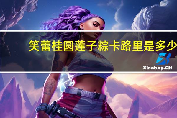 笑蕾 桂圆莲子粽卡路里是多少