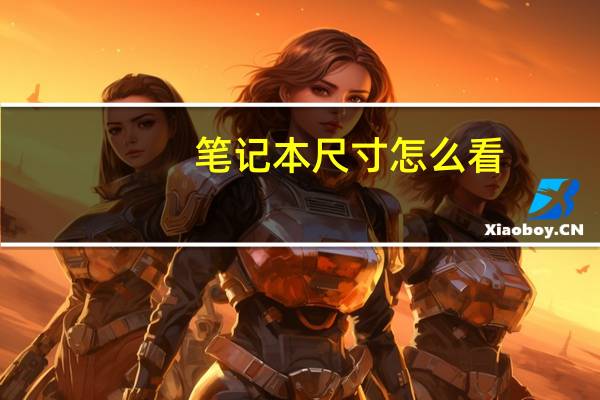 笔记本尺寸怎么看(笔记本尺寸)