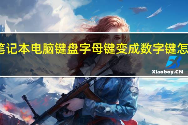 笔记本电脑键盘字母键变成数字键怎么切换（笔记本电脑键盘字母键变成数字键）