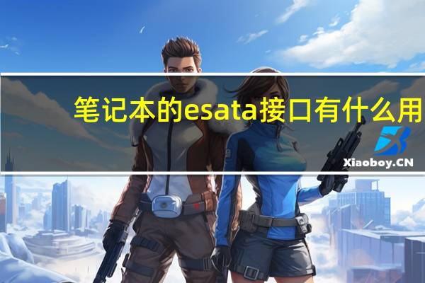 笔记本的esata接口有什么用（esata接口是什么）