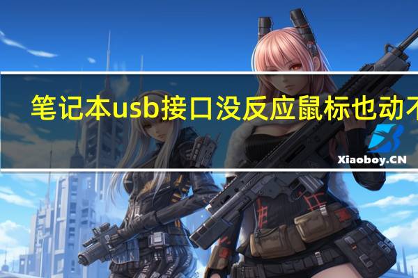 笔记本usb接口没反应鼠标也动不了（笔记本usb接口没反应）