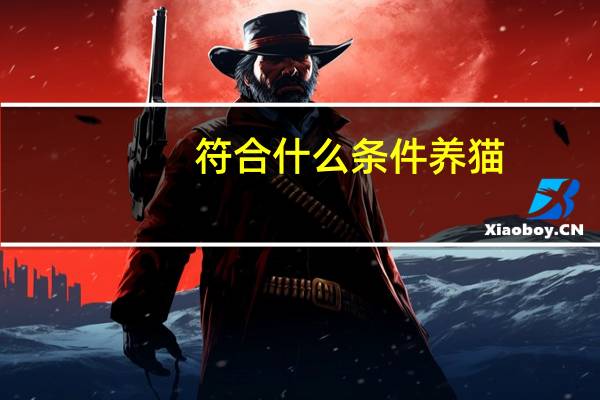 符合什么条件养猫