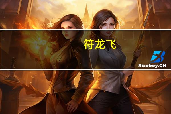 符龙飞（关于符龙飞的介绍）