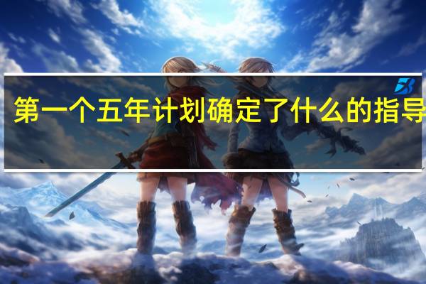 第一个五年计划确定了什么的指导方针
