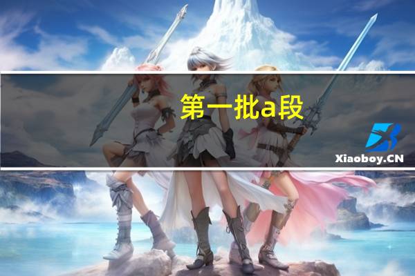 第一批a段,第一批b段,第二批a段是什么意思