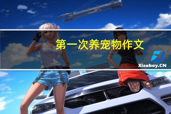 第一次养宠物作文