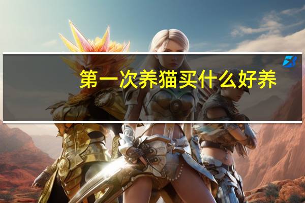 第一次养猫买什么好养