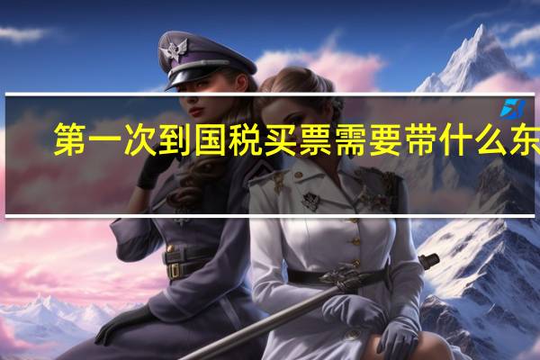 第一次到国税买票需要带什么东西