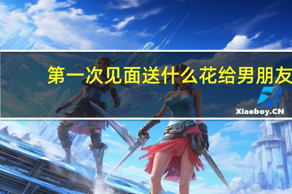 第一次见面送什么花给男朋友（第一次见面送什么花）