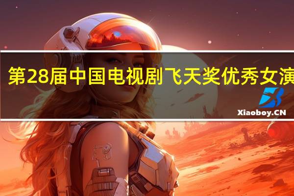 第28届中国电视剧飞天奖优秀女演员奖（第28届中国电视剧飞天奖）