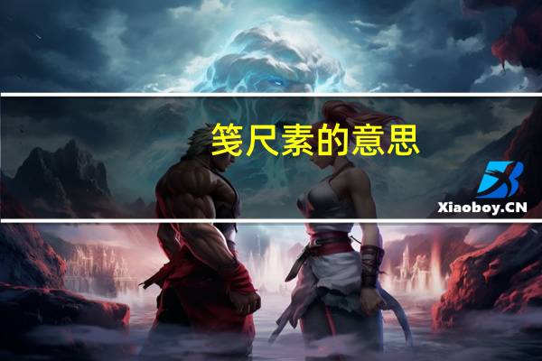 笺尺素的意思