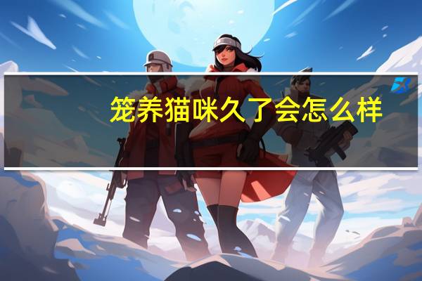 笼养猫咪久了会怎么样