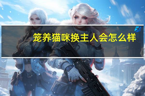 笼养猫咪换主人会怎么样