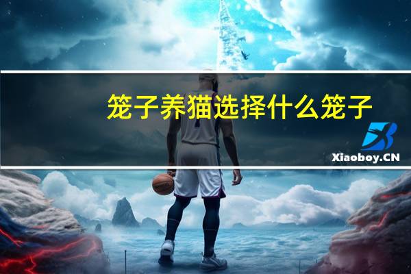 笼子养猫选择什么笼子