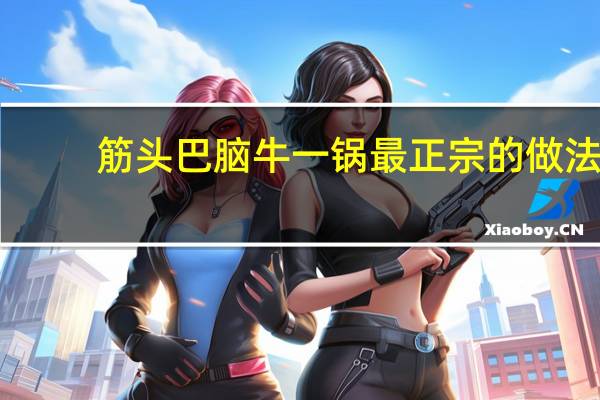 筋头巴脑牛一锅最正宗的做法