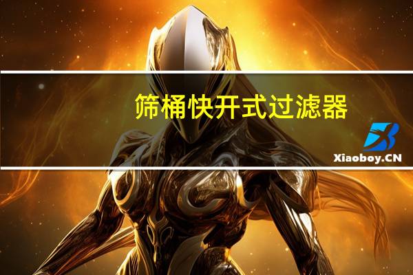 筛桶快开式过滤器（快开袋式过滤器）