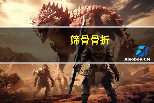 筛骨骨折（筛骨）