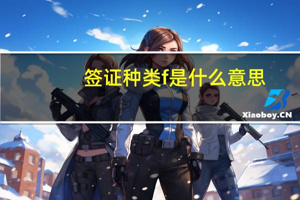 签证种类f是什么意思