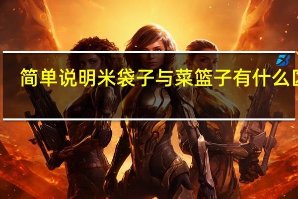 简单说明米袋子与菜篮子有什么区别