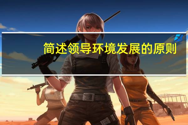 简述领导环境发展的原则