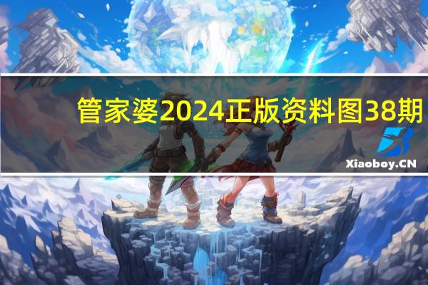 管家婆2024正版资料图38期_最佳选择_实用版486.862