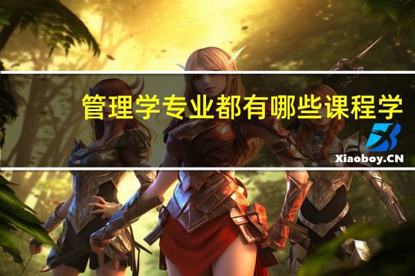 管理学专业都有哪些课程学
