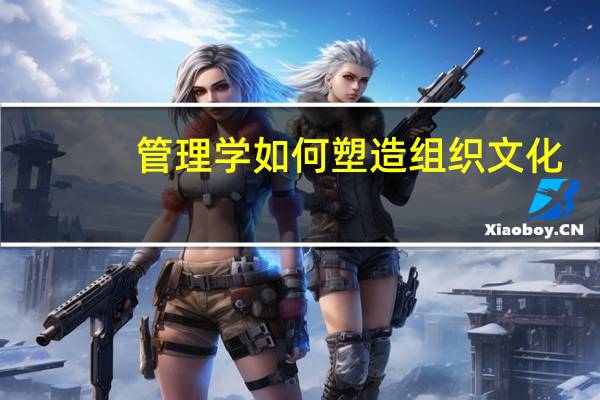 管理学如何塑造组织文化