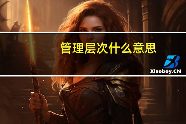 管理层次什么意思（管理层次）