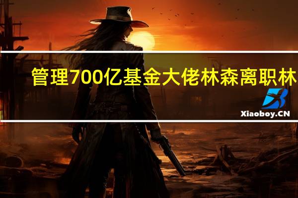 管理700亿基金大佬林森离职林森，他在金融圈做出过哪些成绩