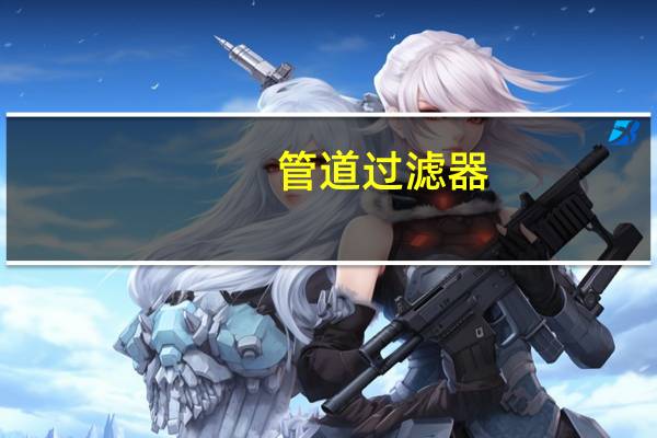 管道过滤器