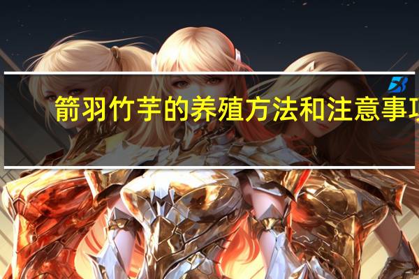 箭羽竹芋的养殖方法和注意事项