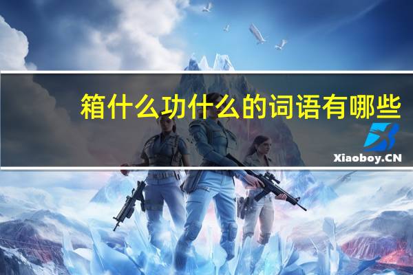 箱什么功什么的词语有哪些?