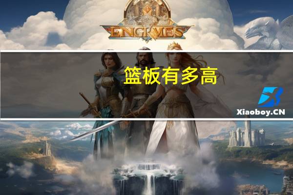 篮板有多高