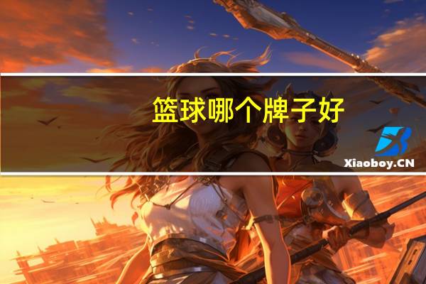 篮球哪个牌子好，推荐篮球品牌排行榜前十名