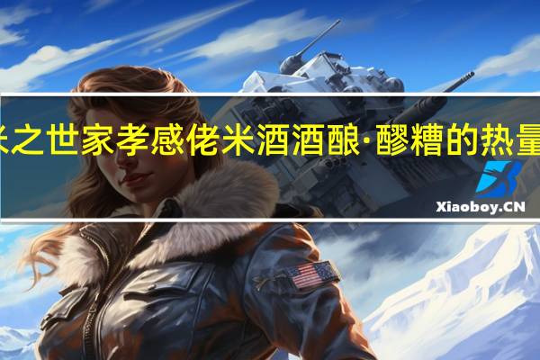 米之世家 孝感佬米酒 酒酿·醪糟的热量是多少