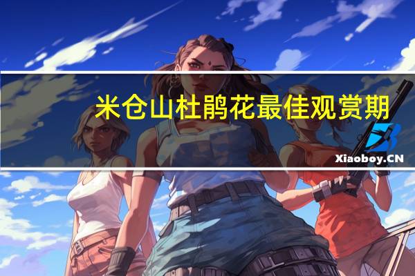 米仓山杜鹃花最佳观赏期