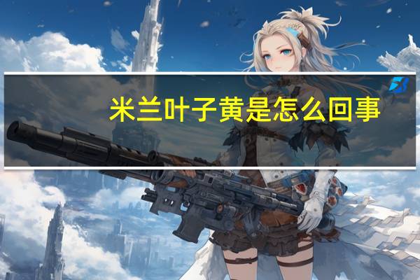 米兰叶子黄是怎么回事