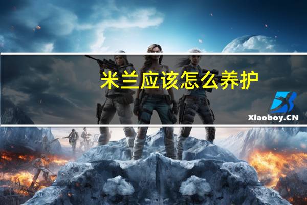 米兰应该怎么养护