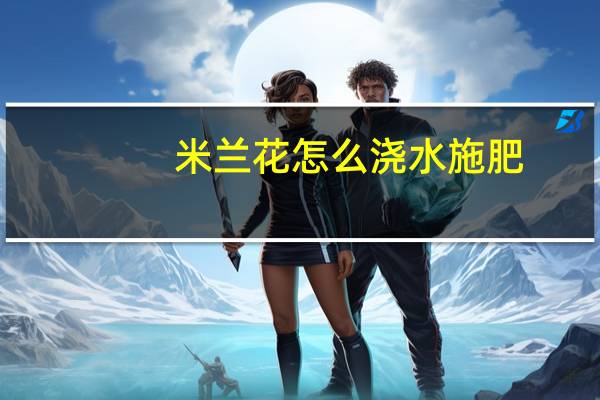 米兰花怎么浇水施肥