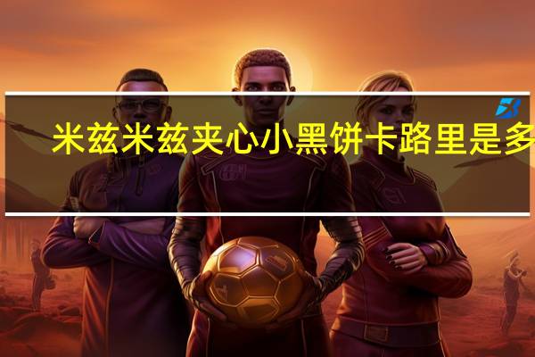 米兹米兹 夹心小黑饼卡路里是多少