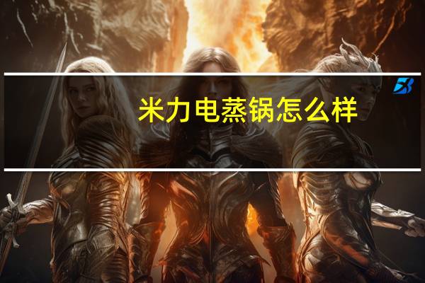 米力电蒸锅怎么样
