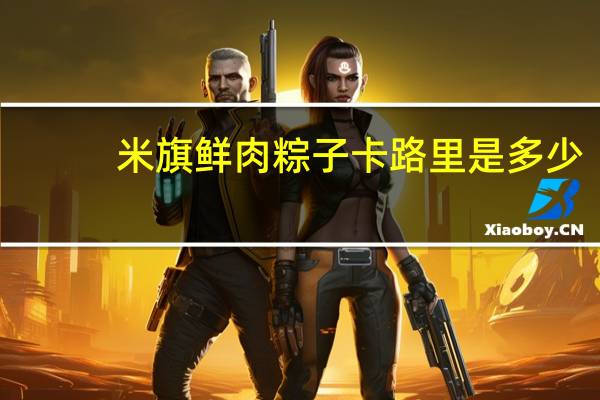 米旗 鲜肉粽子卡路里是多少