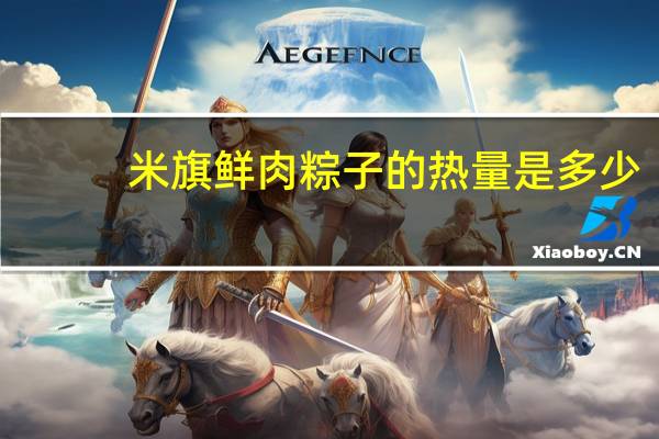 米旗 鲜肉粽子的热量是多少