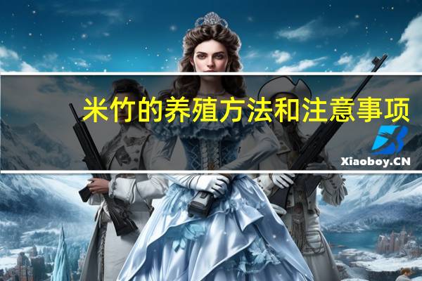 米竹的养殖方法和注意事项