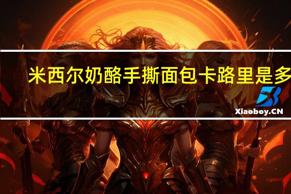 米西尔 奶酪手撕面包卡路里是多少